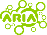 Romanian Association for Artificial Intelligence (ARIA)